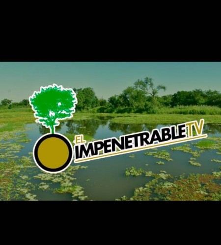 IMPENETRABLE TV