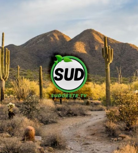 SUDOESTE TV 