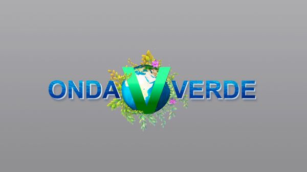 Onda Verde | T: 2023 | 06.05