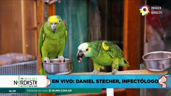 Daniel Stecher, Infectólogo || 30.04.24