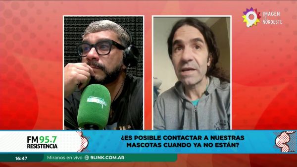 Medium Leonardo || 02.05.24