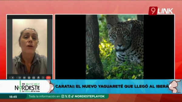 ALICIA DELGADO || 04-06-24