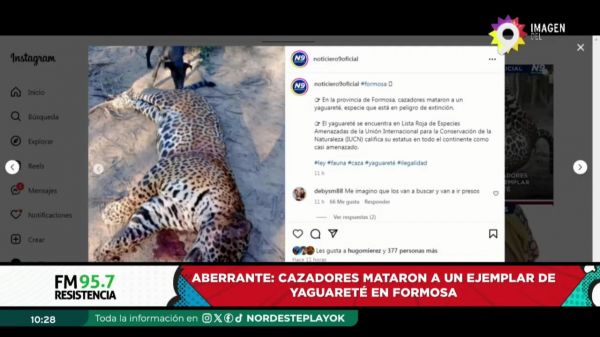 Nicolas Lodeiro Ocampo || 31.07.2024