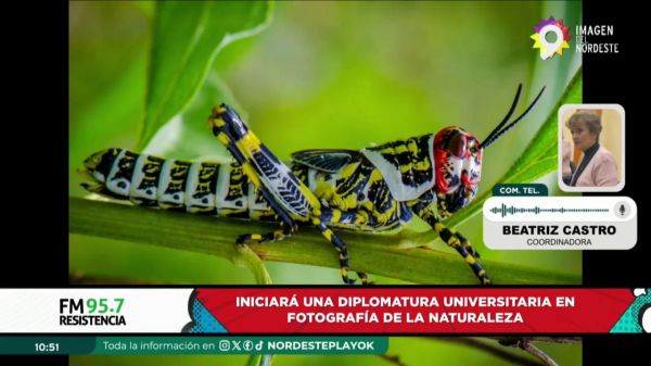 Magister Beatriz Castro Chan y Mario Ibarra || 14.08.2024