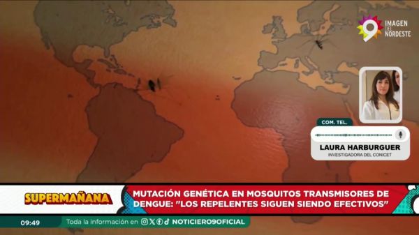 Laura Harburguer || 30.08.2024