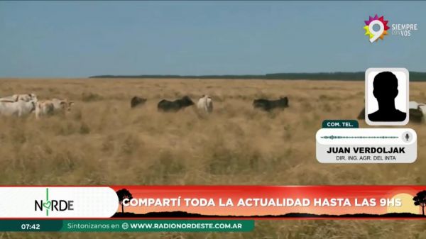 Juan Verdoljak || 03.09.2024