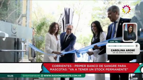 Carolina Aromí || 08.10.2024