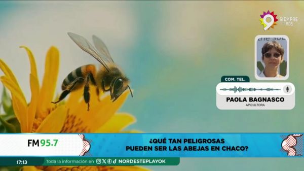 PAOLA BAGNASCO || 23.10.2024