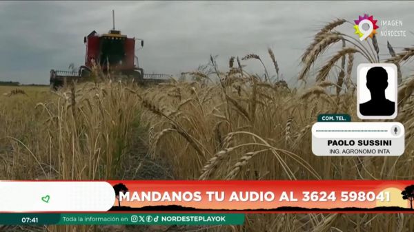 Paolo Sussini || 30.10.2024