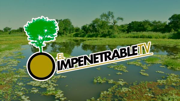 El Impenetrable TV | 2026 | 006